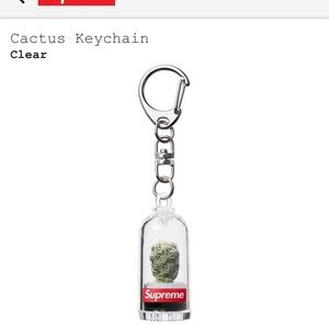 Supreme cactus keychain